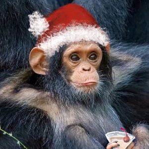 Meet your Posher, Tamara